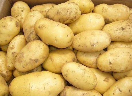 Indian Potato